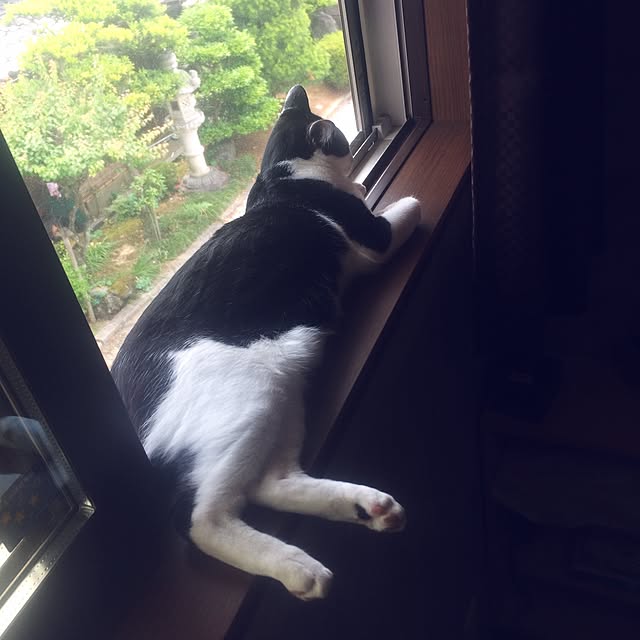 aruさんの実例写真