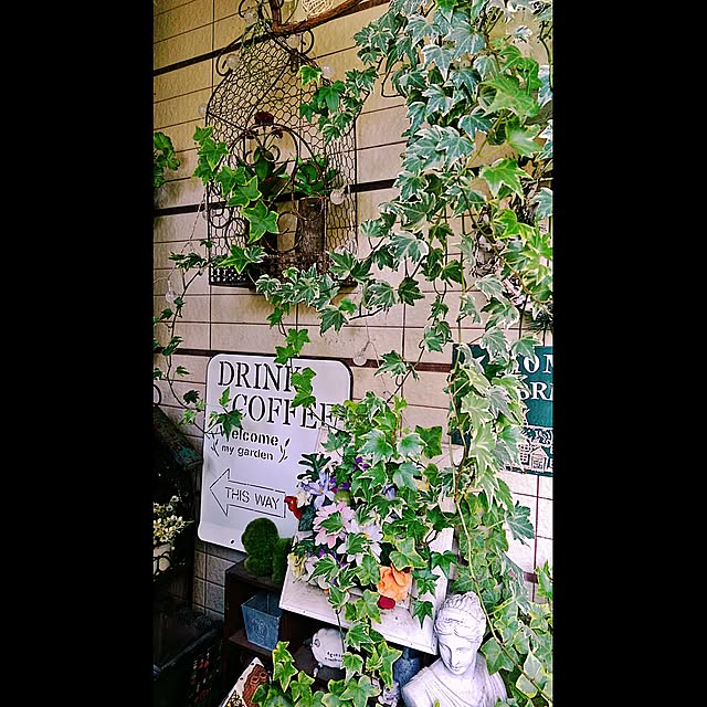 dreanさんの実例写真