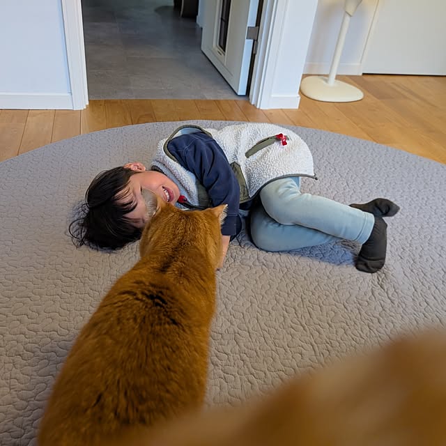 poteさんの部屋