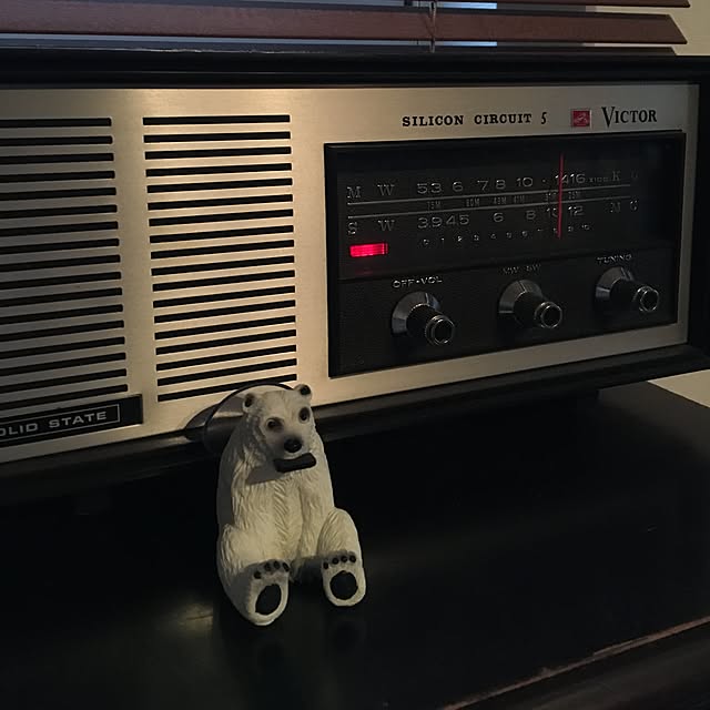 tetra163さんの実例写真