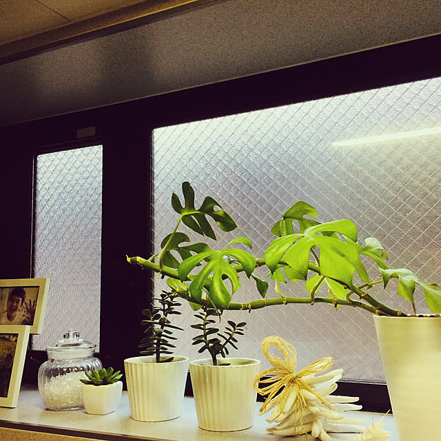 aki1116さんの実例写真