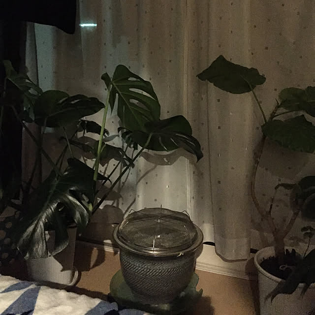 emiさんの実例写真