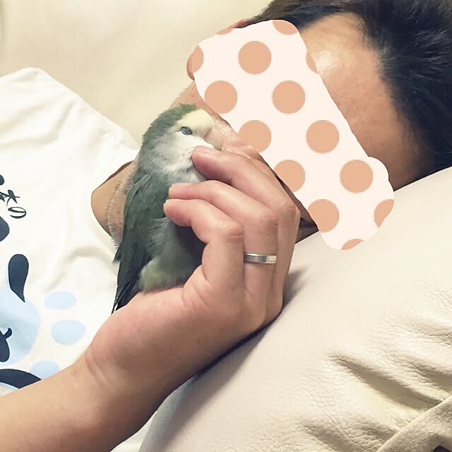 kaotanさんの実例写真