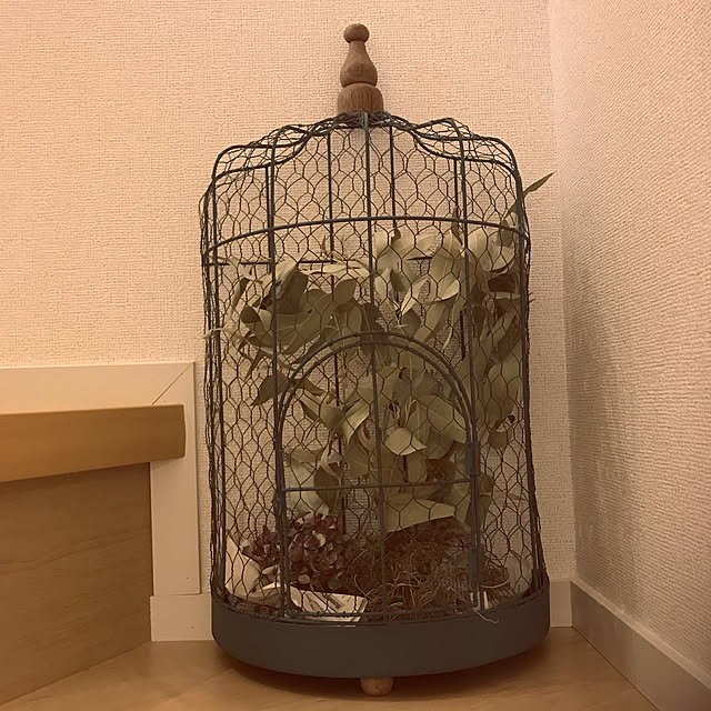 ikukoさんの実例写真