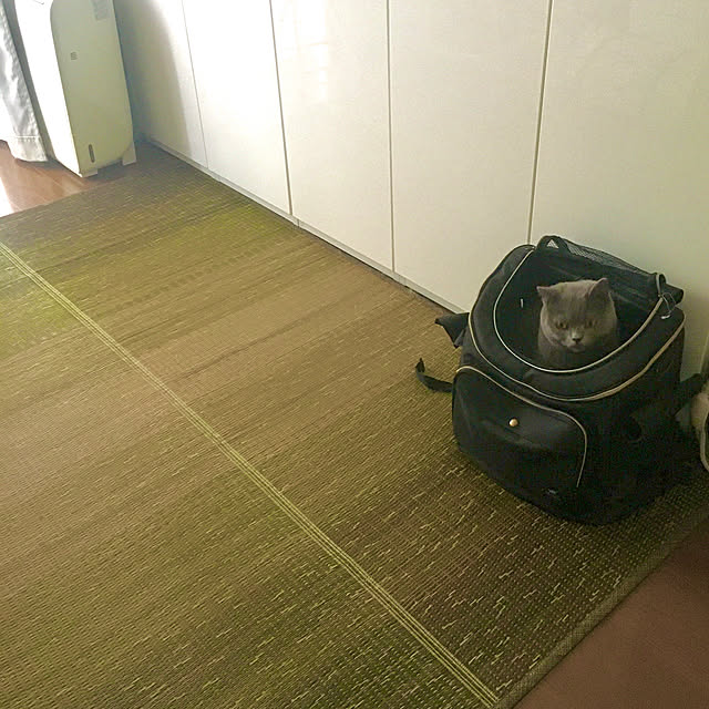 kittyさんの実例写真