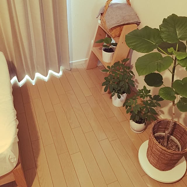 mutsumiさんの実例写真