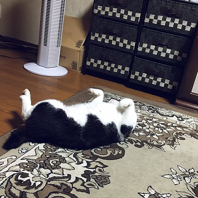 kmakkyiさんの実例写真