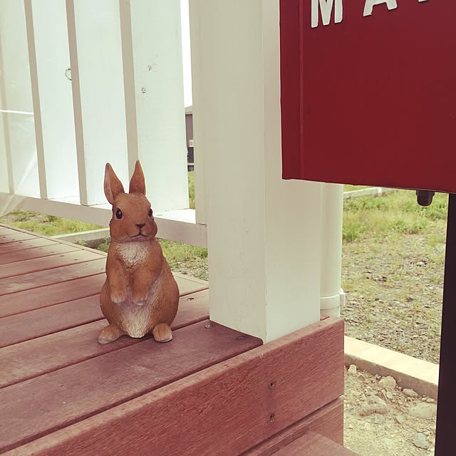 usausa.wanwanさんの実例写真
