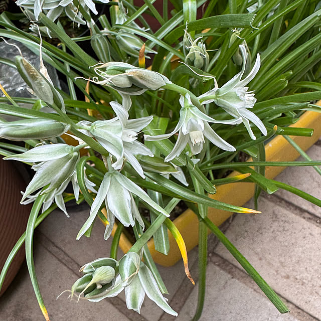 mamizaさんの部屋