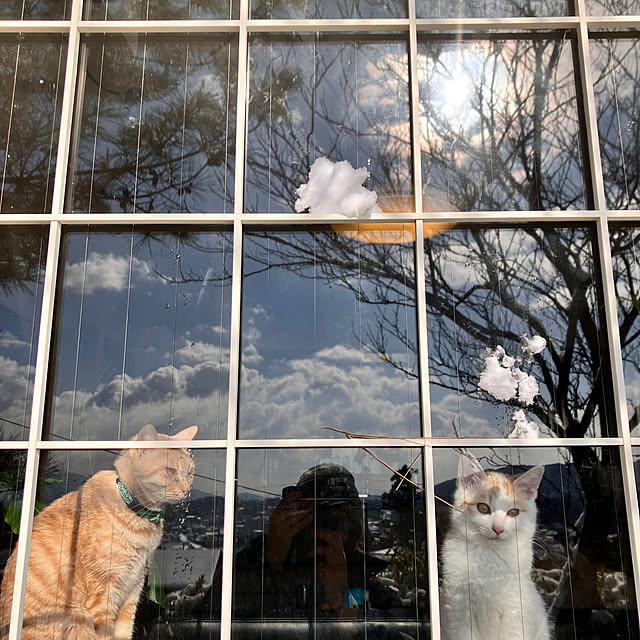tomorinさんの部屋