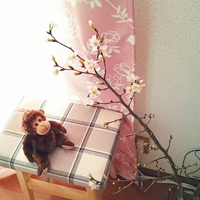 zunnchiさんの実例写真