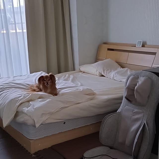 toratanさんの実例写真