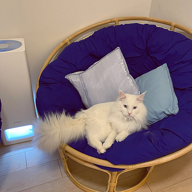 Lionaさんの実例写真