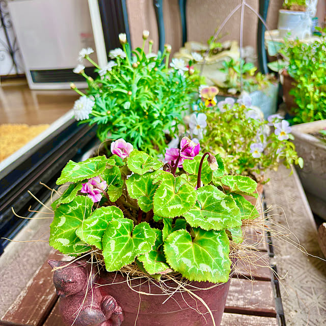 naokoさんの実例写真