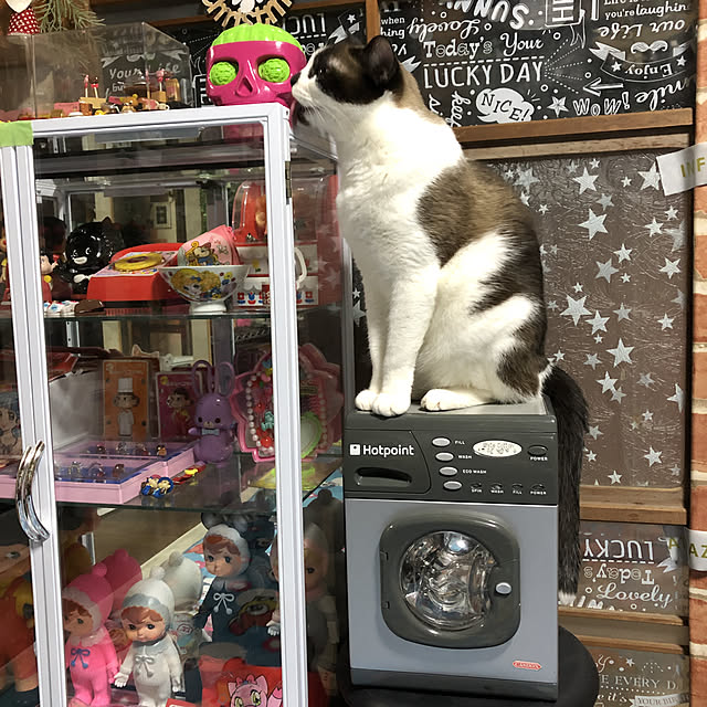 vivienne.coco-keiさんの実例写真