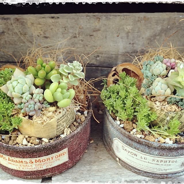 botanさんの実例写真