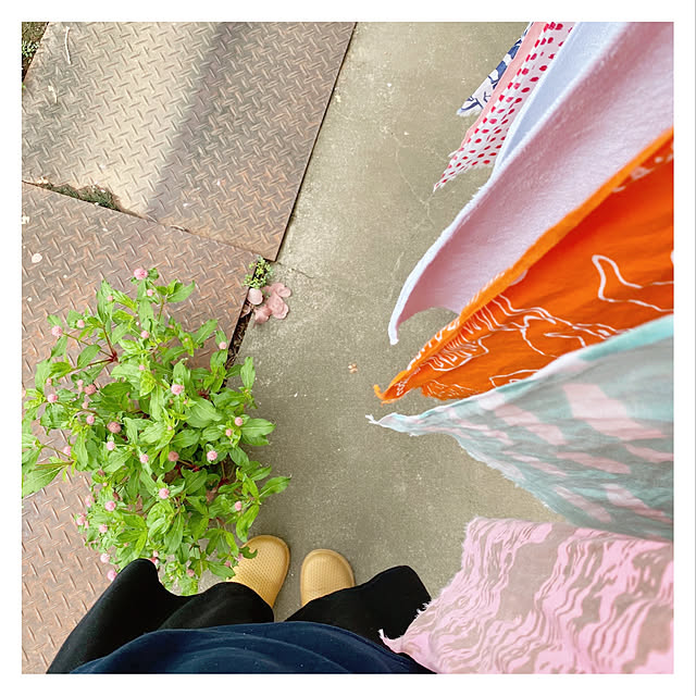 Maicoさんの実例写真