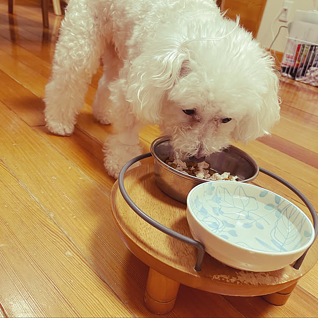 kakoさんの実例写真