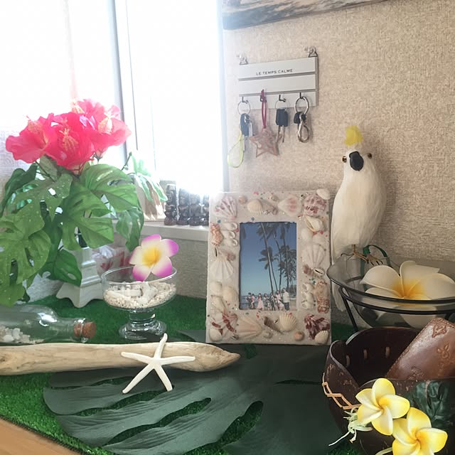 Asamiさんの実例写真