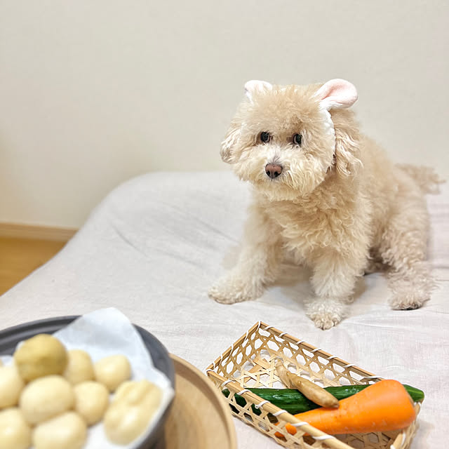 hammさんの実例写真