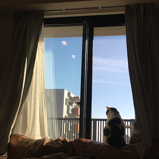 hanaさんの実例写真