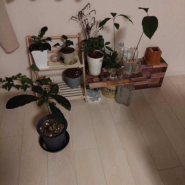 sumomoさんの実例写真