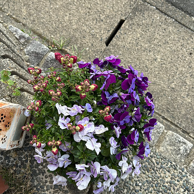 ritsukoさんの部屋