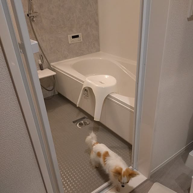 toratanさんの実例写真
