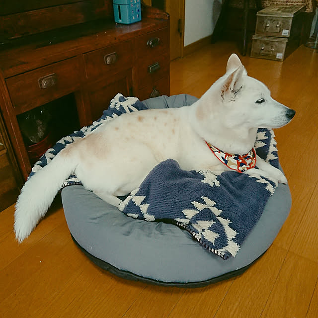 bossさんの実例写真