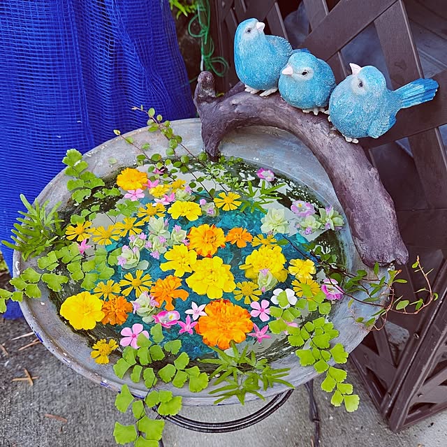 mocomocoさんの実例写真