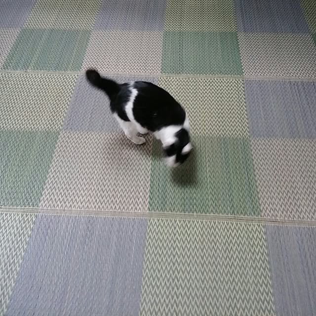 Mikiさんの実例写真