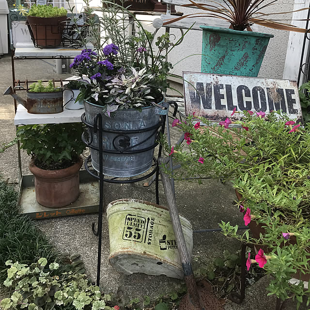 tanomamaさんの実例写真