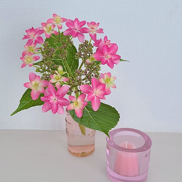 mutyukingさんの実例写真