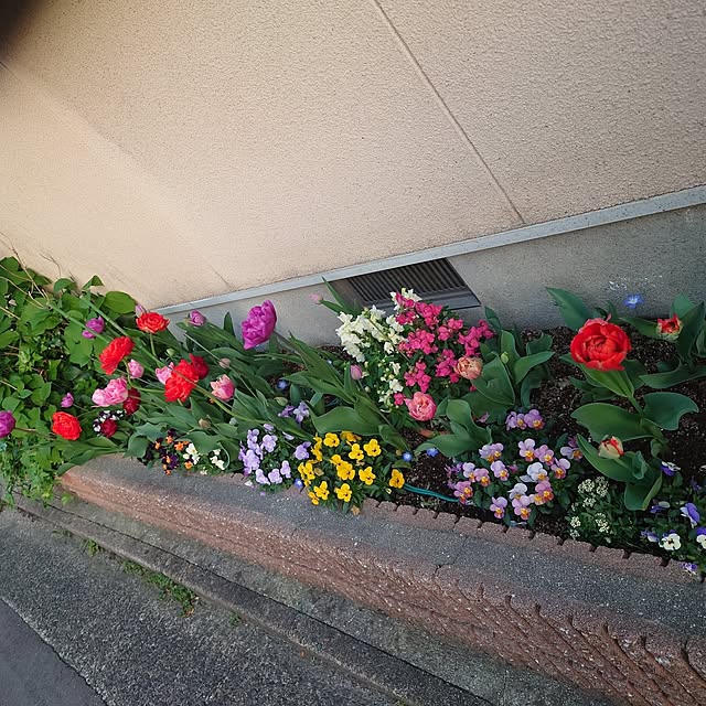 Pikakeさんの実例写真