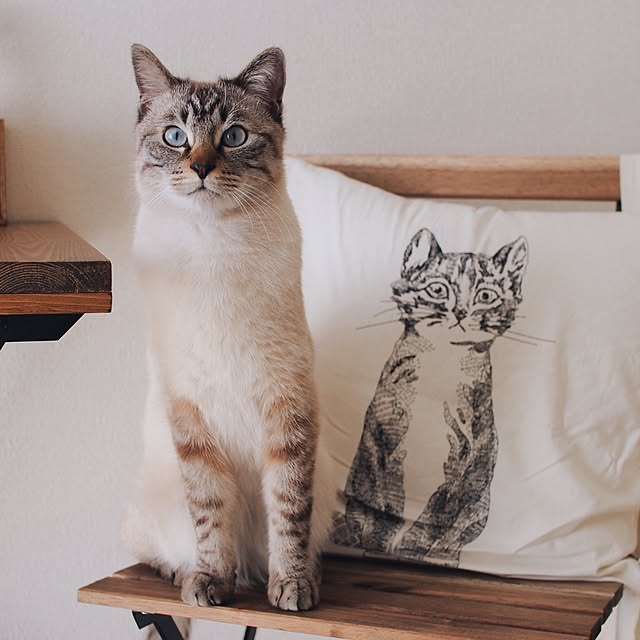 ineko_kさんの実例写真