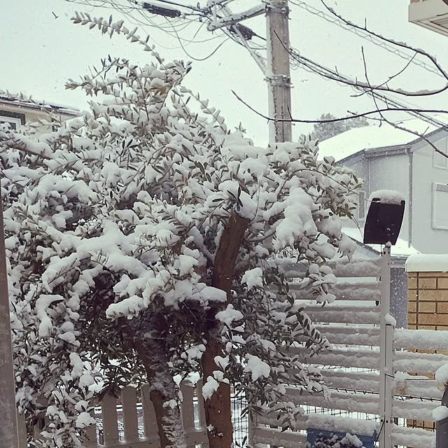 kana_ciiさんの部屋