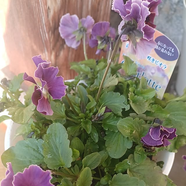 hiro.904さんの部屋