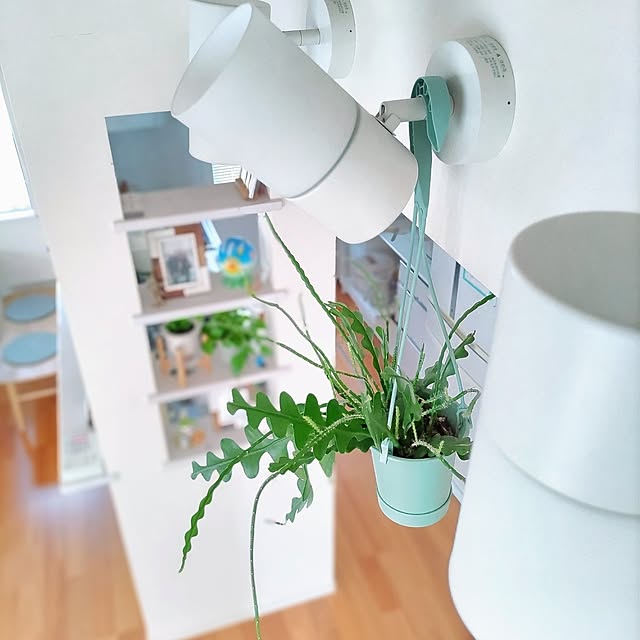 Haさんの部屋