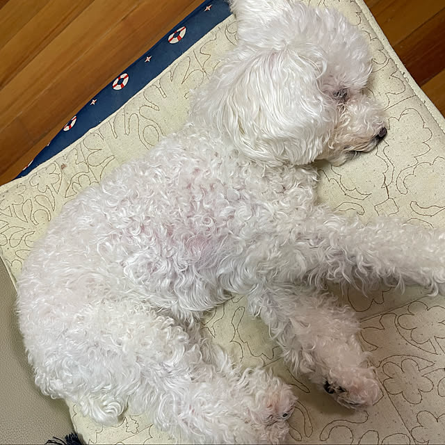 kakoさんの実例写真