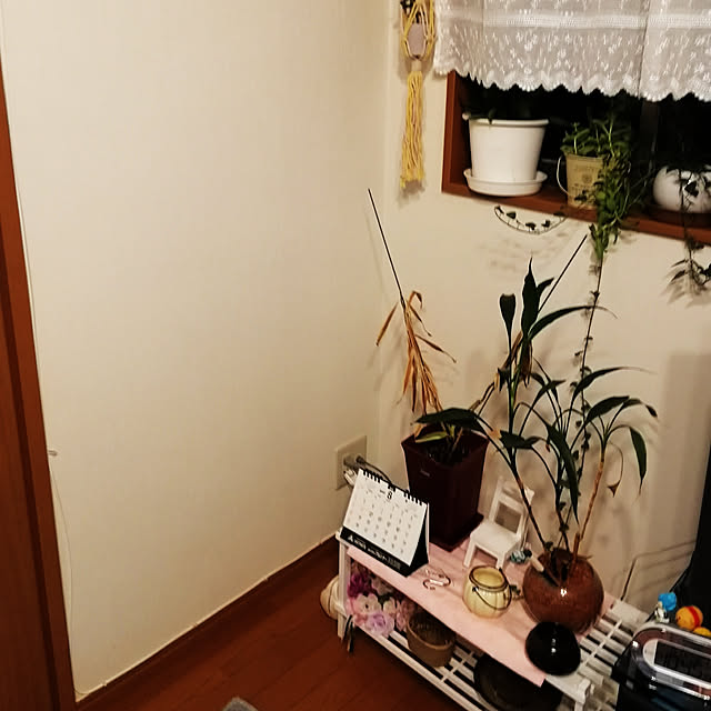 himawari0627さんの実例写真