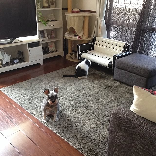 framさんの実例写真