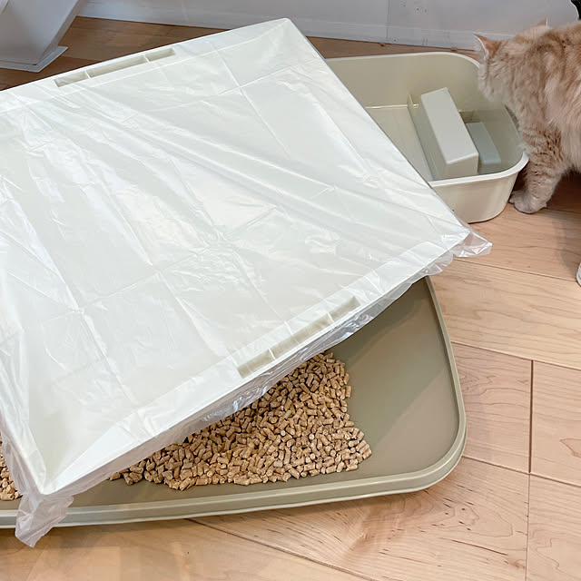 kさんの部屋