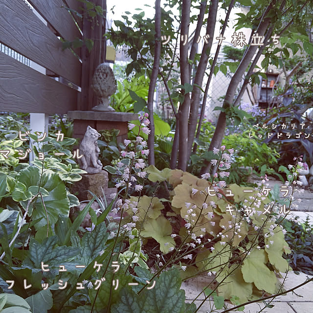 chocoさんの実例写真