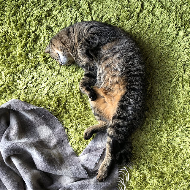 weさんの実例写真
