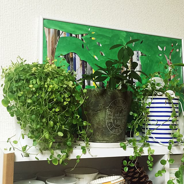 mikka1406さんの実例写真