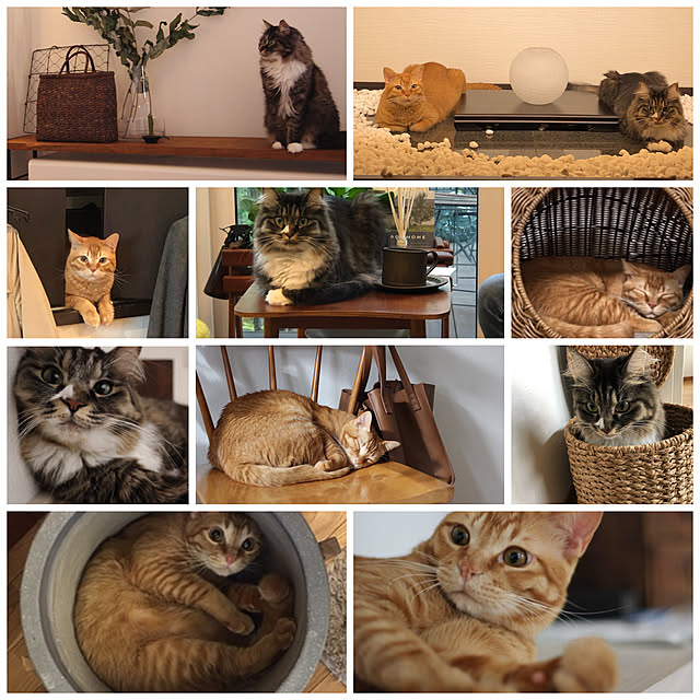 Hisashiさんの実例写真