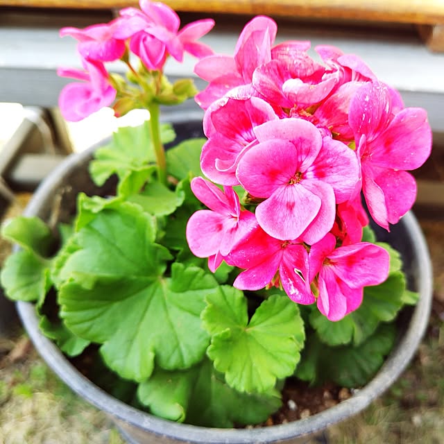 katさんの実例写真