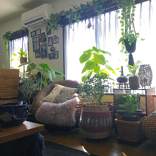 cocotaiさんの実例写真