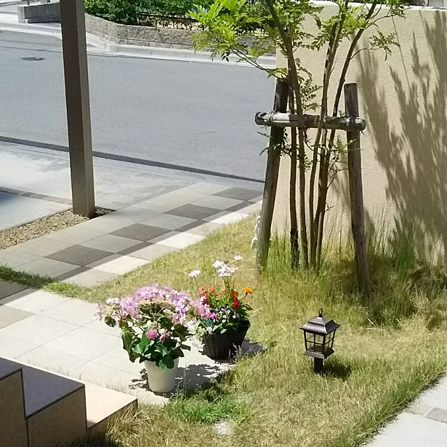 実例写真