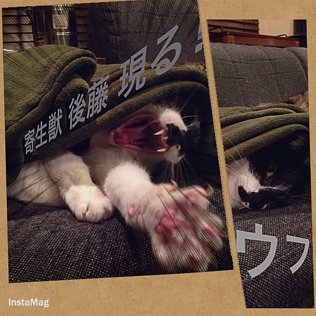 jnkaiさんの実例写真